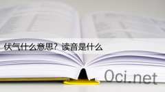 伏气什么意思？读音是什么