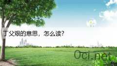 丁父艰的意思，怎么读？