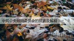 中共中央顾问委员会的拼音及解释