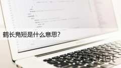 鹤长鳬短是什么意思？