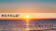 养生术怎么读？