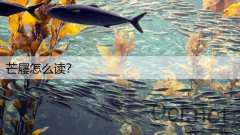 芒屦怎么读？
