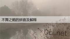 不舞之鹤的拼音及解释