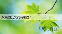 聚集的反义词有哪些？