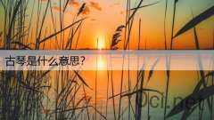 古琴是什么意思？