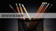 通剂的拼音及解释