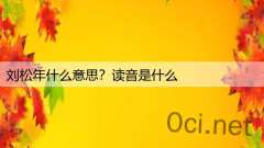 刘松年什么意思？读音是什么