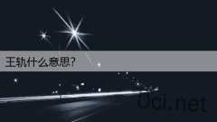 王轨什么意思？