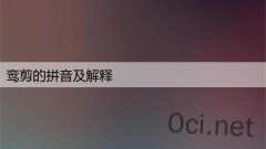 鸾剪的拼音及解释