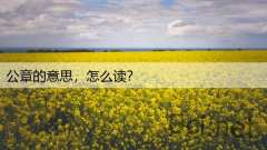 公章的意思，怎么读？