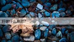 纤缴什么意思？