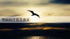 烹鲜的注音及含义