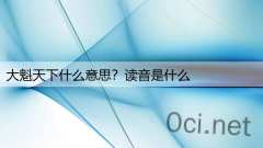 大魁天下什么意思？读音是什么