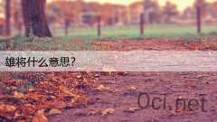 雄将什么意思？