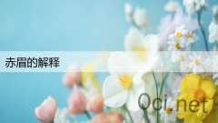 赤眉的解释