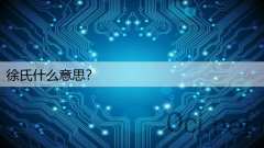 徐氏什么意思？
