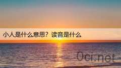 小人是什么意思？读音是什么