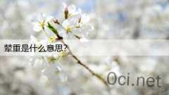 辇重是什么意思？