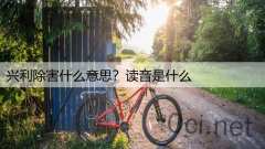 兴利除害什么意思？读音是什么