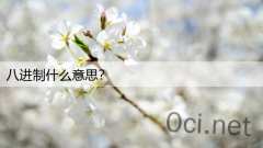 八进制什么意思？