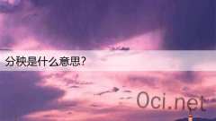 分秧是什么意思？