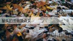 髼头的注音及含义
