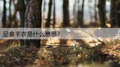 足食丰衣是什么意思？