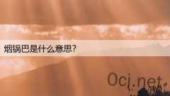 烟锅巴是什么意思？