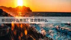 断面图什么意思？读音是什么