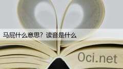 马屁什么意思？读音是什么