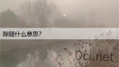除隧什么意思？