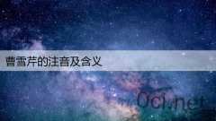 曹雪芹的注音及含义