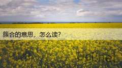 簇合的意思，怎么读？