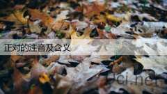 正对的注音及含义