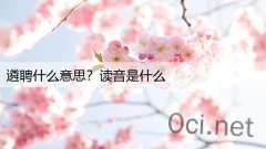 遴聘什么意思？读音是什么