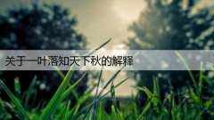 关于一叶落知天下秋的解释