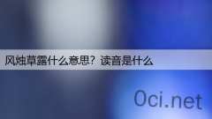风烛草露什么意思？读音是什么