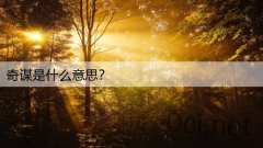 奇谋是什么意思？