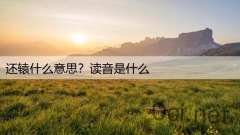 还辕什么意思？读音是什么