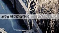 准则的近义词有哪些？