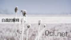 白毳的解释