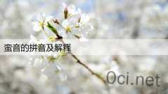 蛮音的拼音及解释