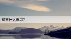 阿章什么意思？