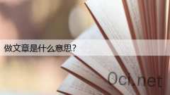 做文章是什么意思？