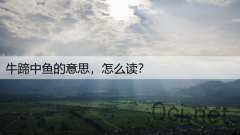 牛蹄中鱼的意思，怎么读？