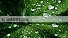 壮节的注音及含义